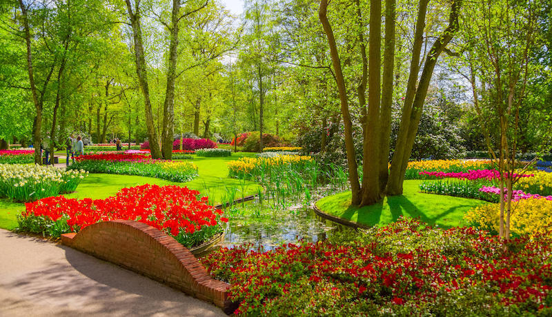 Holland im Blütenzauber